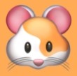 龙珠pw手机版下载APP应用