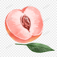 WWW,fff28·COM网站APPAPP应用